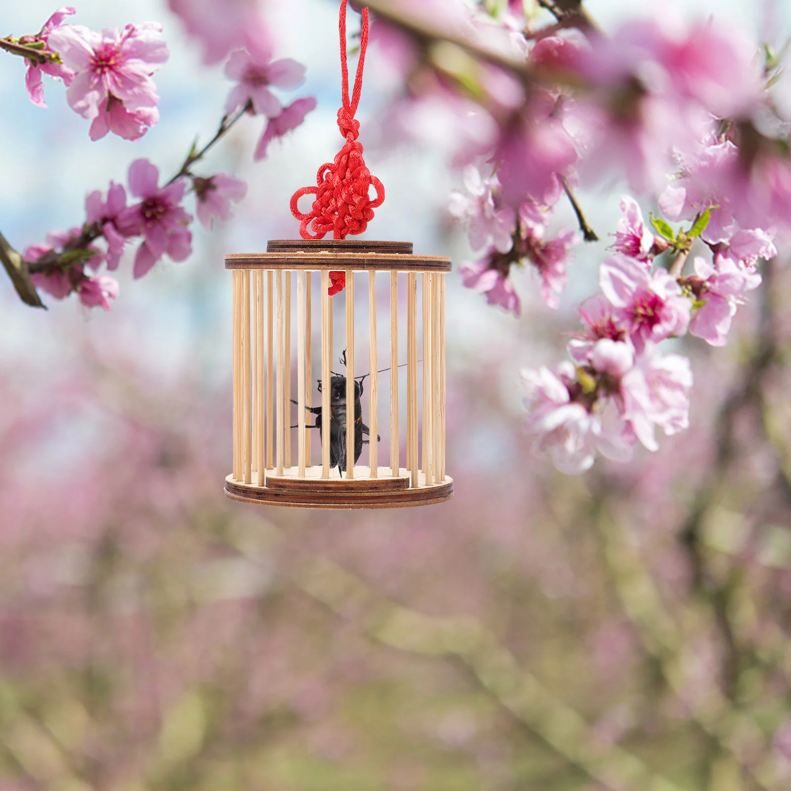 Клетка для переноски трав насекомых дома мелких бамбуковых тараканов играющих