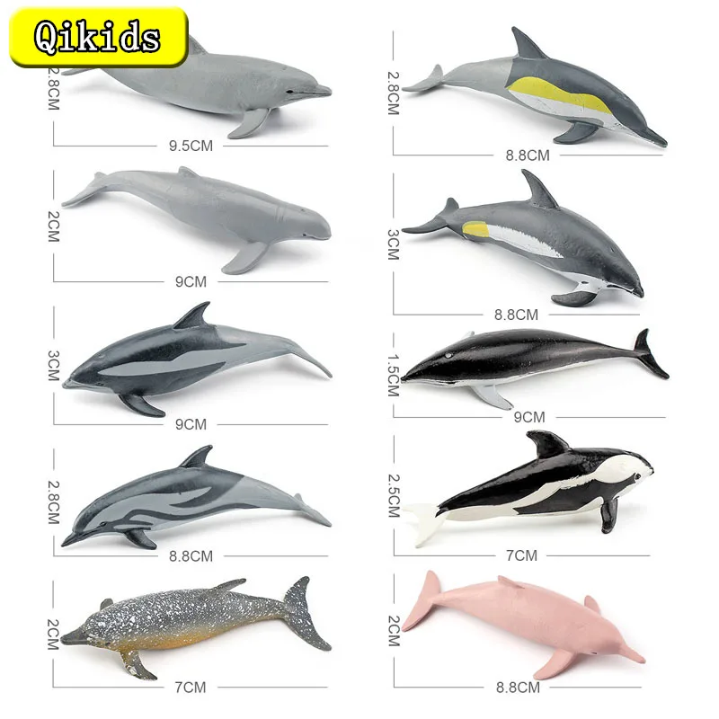 

Simulation Marine Mammal Dolphin Model Short-nose Show-back Long-mouthed Ornament Toys Figures Science And Education Cognition