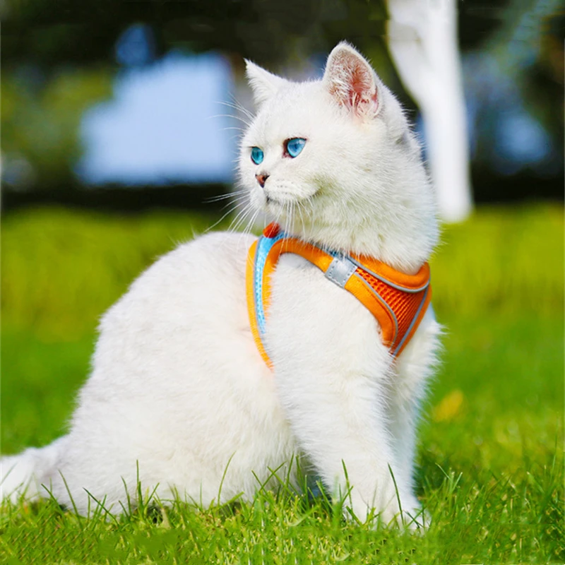 Светоотражающая шлейка для питомцев регулируемый нейлоновый жилет с поводком