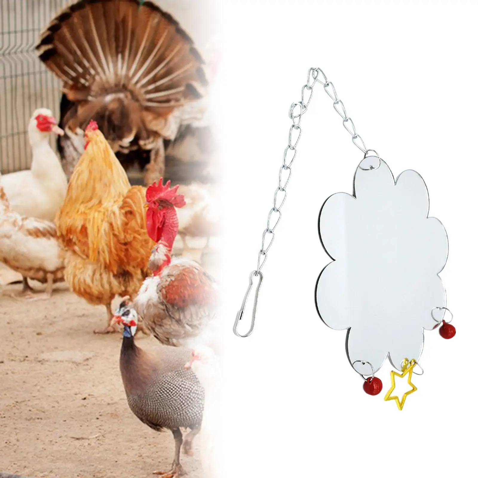 

Chicken Mirror Toys with Bell Pet Bird Mirror Hen Chicken Toys for Coop