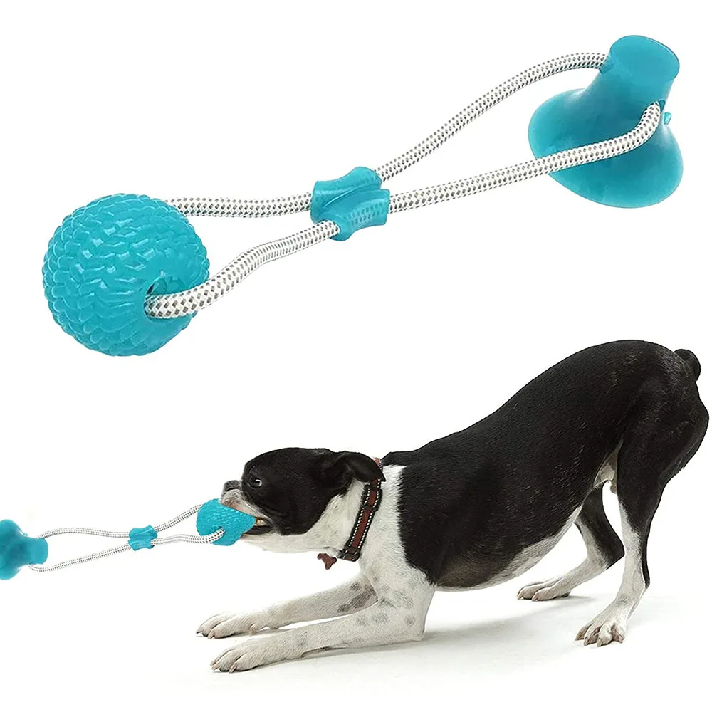 

Durable Pet Toys With Suction Cup Dog Push Toy with TPR Ball Pet Tooth Cleaning Chewing Rubber Dog Toys for Small Dogs Toys