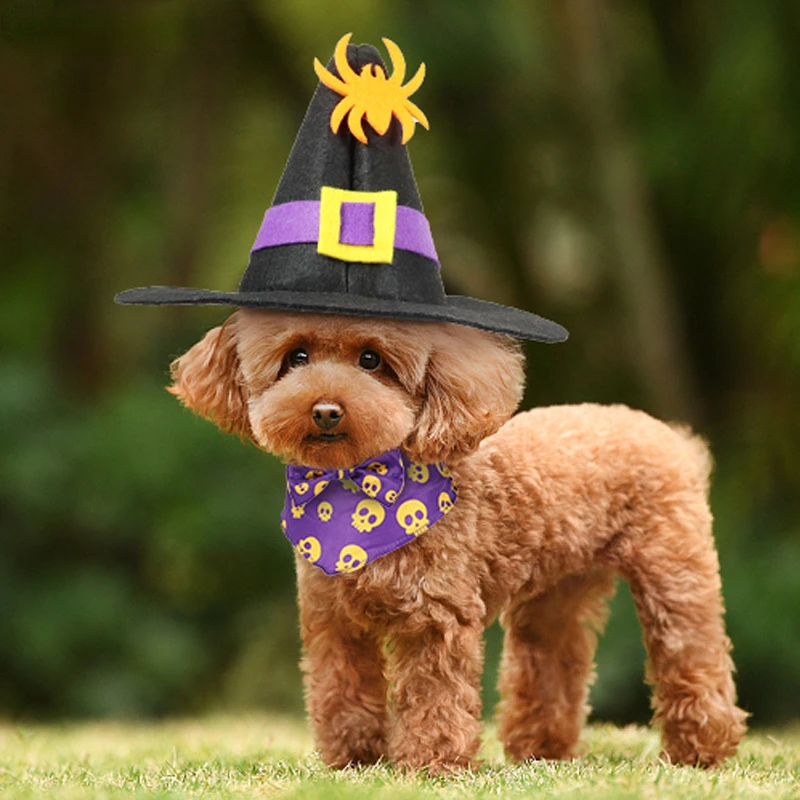 

Головной убор для домашних животных набор из трех предметов собака кошка Хэллоуин смешное украшение трансформируется в аксессуары для веч...