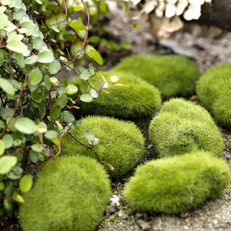 

3Pcs Artificial Green Moss Plants Micro-Landscape Bonsai Decoration 3cm 6cm 8cm 10cm Foam Fake Moss Stone Home Garden Lawn Decor