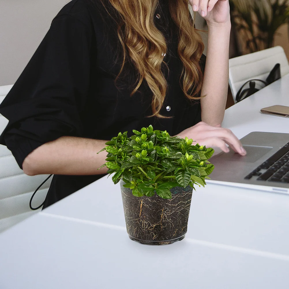 

6 Pcs Orchid Pots Transparent Flower Planter Orchids Flowerpot Garden Small Nursing