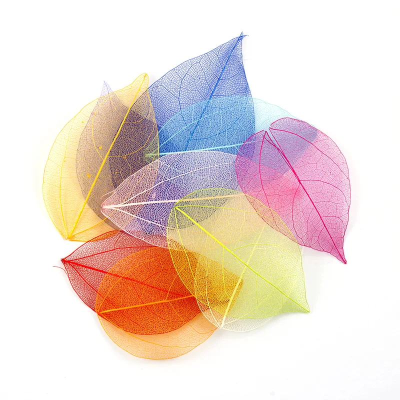 

36pcs /Bag Multi-Color Natural Skeleton Leaf Dry Leaves Scrapbooking DIY Material Natural Magnolia Leaf Vein Student bookmark