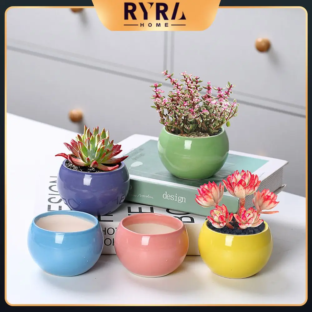 

Succulent Plant Pot Double-layer Succulent Green Dill Round Double Layer Small Green Plant Flowerpot Succulent Small Flower Pot