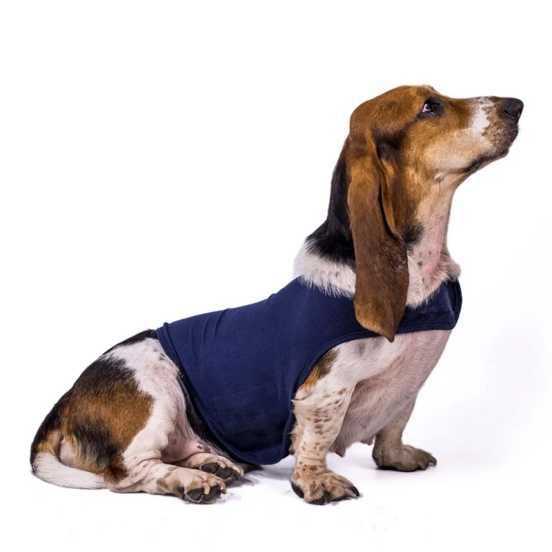 Dog Recovery Suit Anxiety Calming Shirt for Dog Breathable Onesie Dog Anxiety Vest Pet Comfort Jumpsuit for Home Travel Thunder