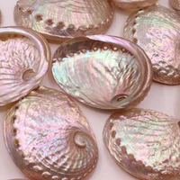 1pcs polished abalone shell conch home decoration aquarium landscaping wedding landscape crafts soap holder lucky decoration