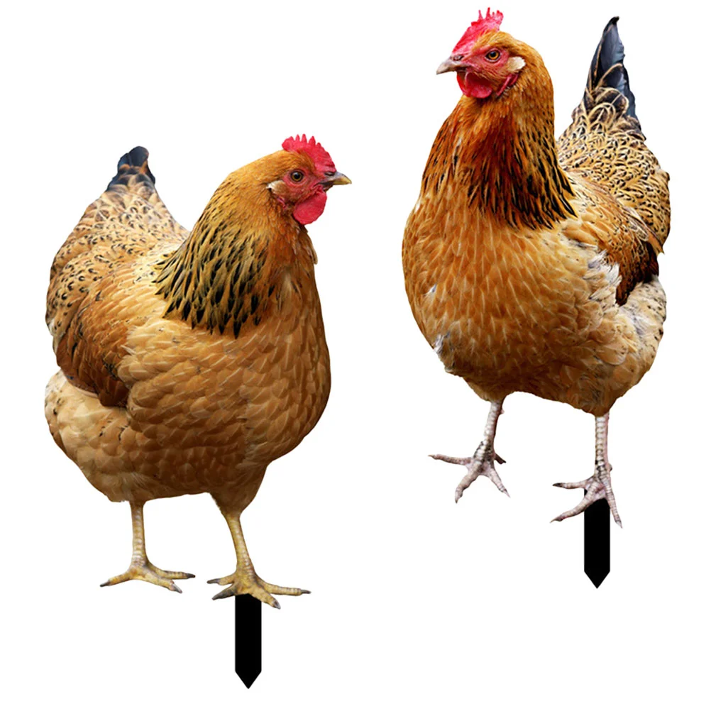 

2 Pcs Outdoor Decor Yard Chicken Decorations Ornament Stakes Rooster Animal Hen Simulated Model Acrylic Garden