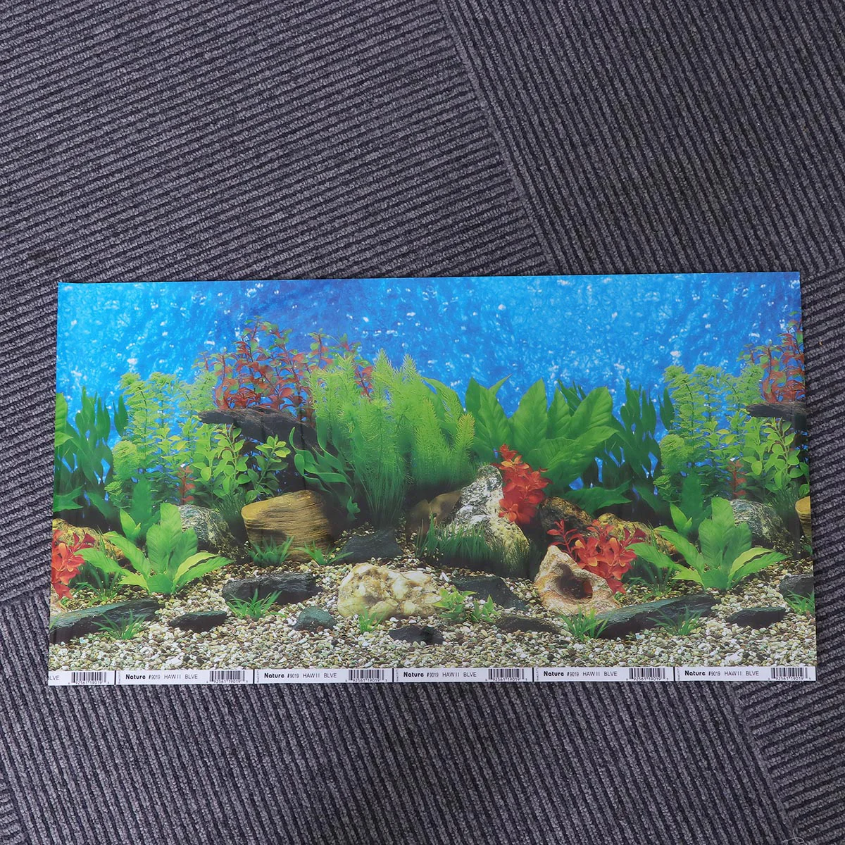 

1 Pc Underwater Adhesive Double-sided Tank Decorative Picture for Tank Aquarium