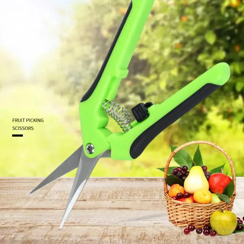 

Инструмент для обрезки деревьев, садовые многофункциональные ножницы диаметром для фруктовых веток, искусственные ножницы для обрезки ветвей, цветов, прямые/локоть