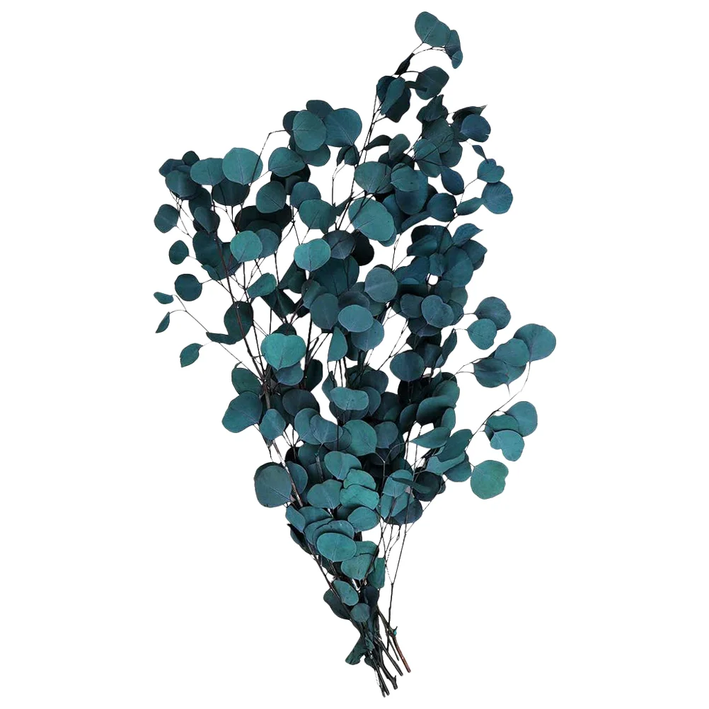 

Eucalyptus Dried Leaves Branches Stems Natural Artificial Real Filler Vase Bouquet Arrangement Floral Flowers Flowerbunch Bundle