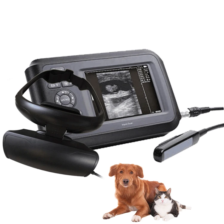 

Handheld 5.5 Inch Vet Ultrasound Machine Pet Dog Pig Sheep Pregnancy Portable Veterinary Ultrasound Scanner