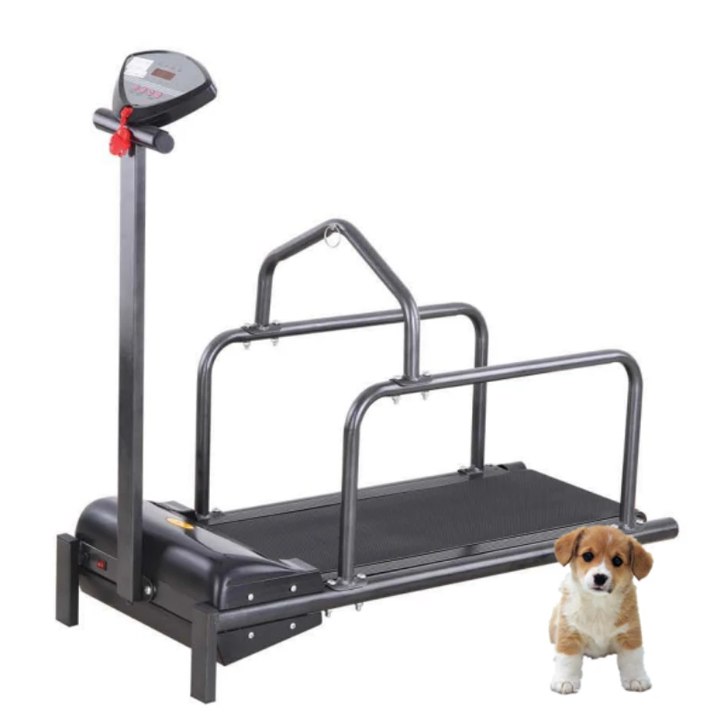 

Cheap dog treadmill walking machine running equipment dog exercise equipment for dogs