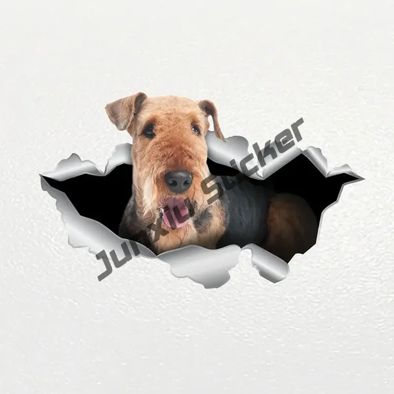 

Виниловая наклейка с изображением Айдрайл-терьера, овальная наклейка «Мама/папа», наклейка с собакой породы для автомобилей, бамперов, ноутбуков, окон, грузовиков, стен