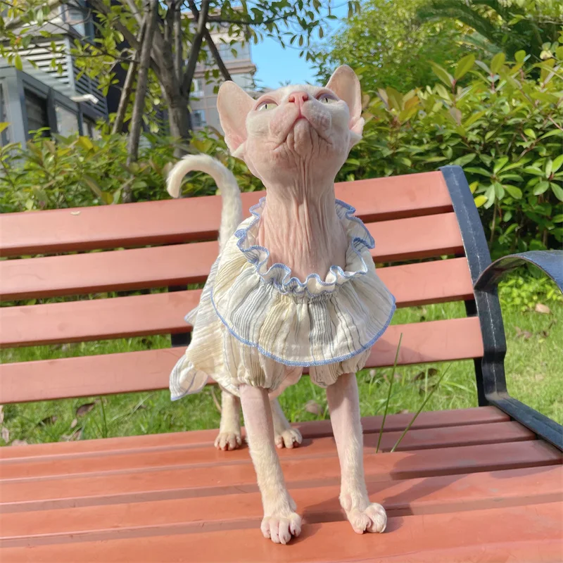 Sphynx Cat Dress Lace Floral Cotton Blue Skirt For kittens Hairless Cat Clothes Soft Thin Material Devon Rex Skirt For Pet