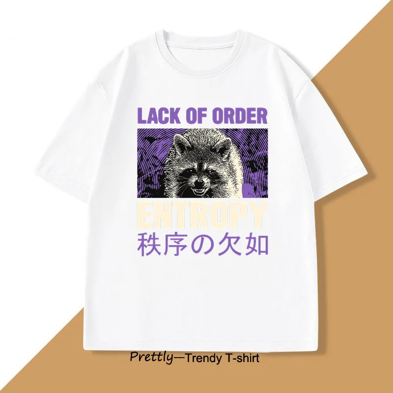 Entropy Raccoon Футболка с принтом Мужская дизайнерская одежда в японском стиле