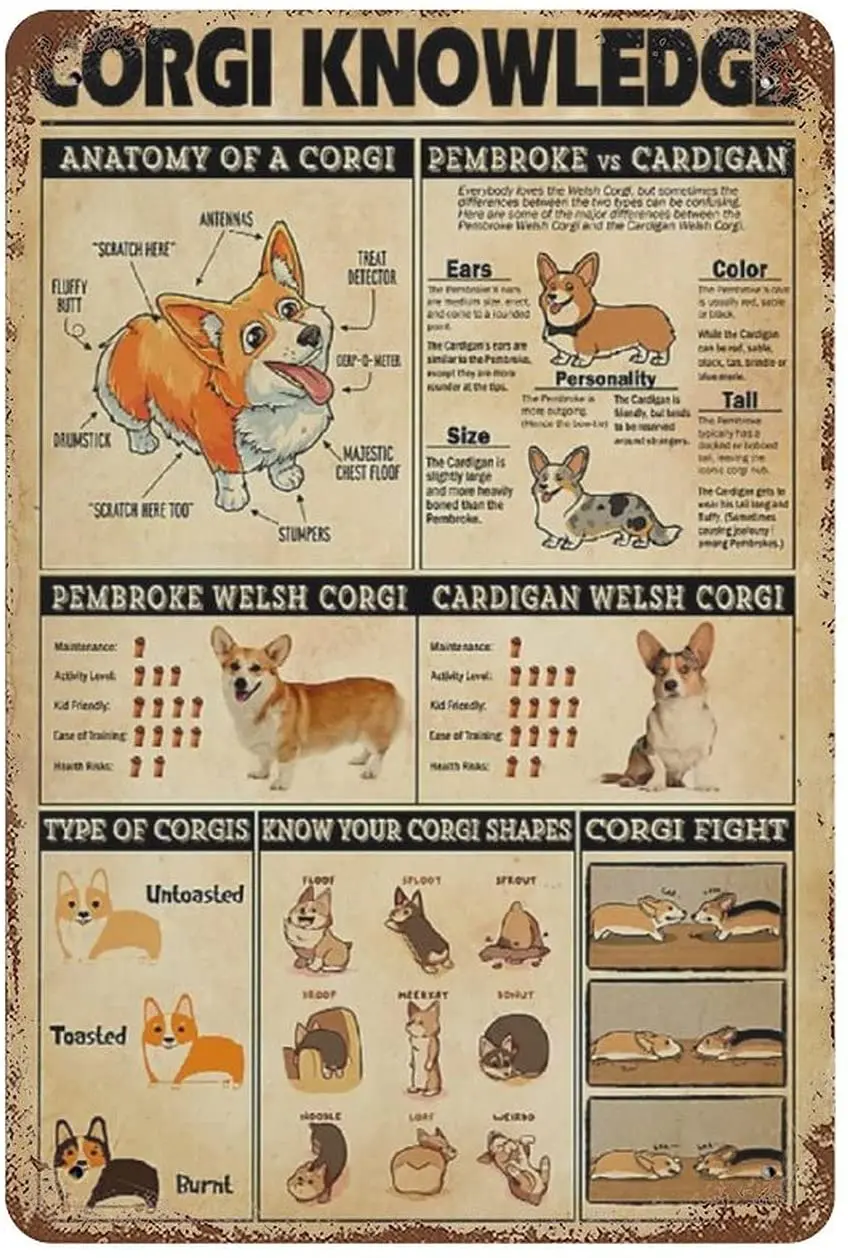 

Corgi Knowledge Tin Sign Funny Corgi Dog Home Decor Corgi Lover Gift Wall Decoration Plaques 8x12 Inches