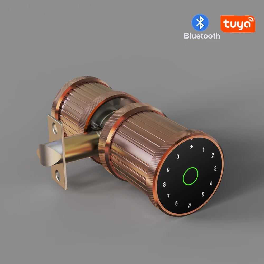 Продажа Дверной смарт-замок Tuya с Bluetooth и цифровой клавиатурой