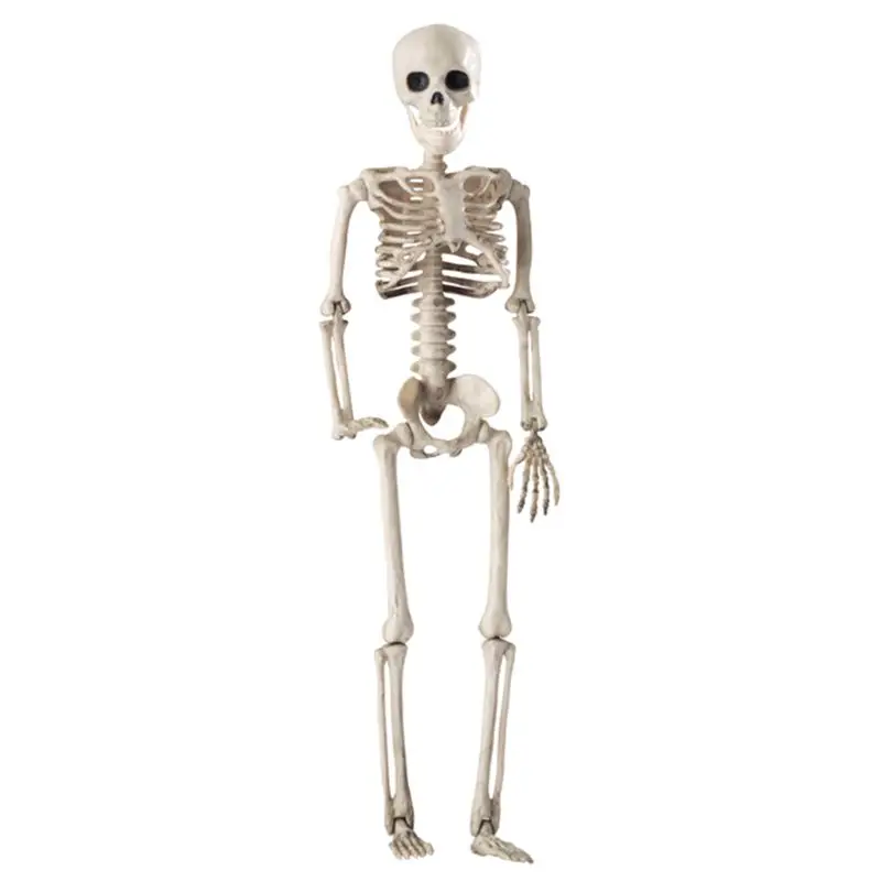 

36cm Lifelike Human Bones Halloween Skull Skeleton Decoration Anatomical Anatomy Model Scary Props