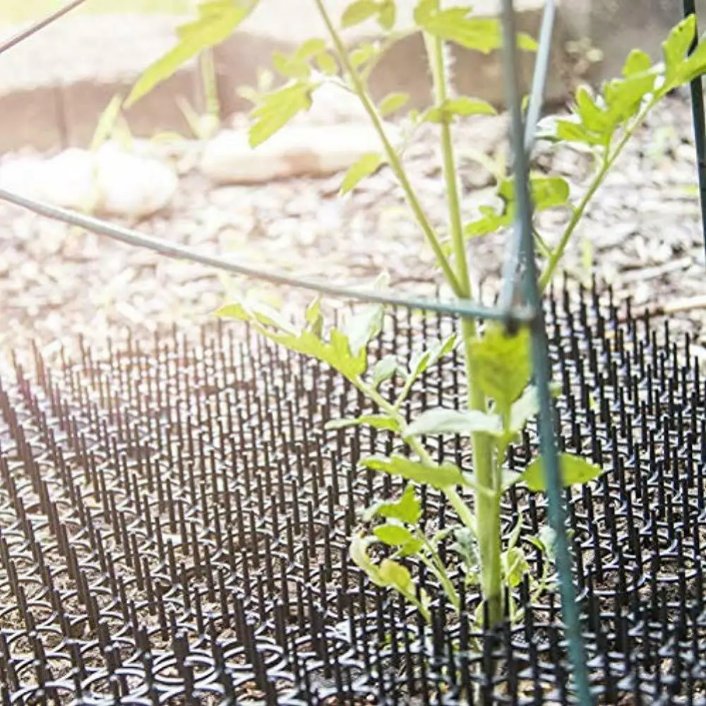 

10 шт., колючки для сада, 13 х49 см