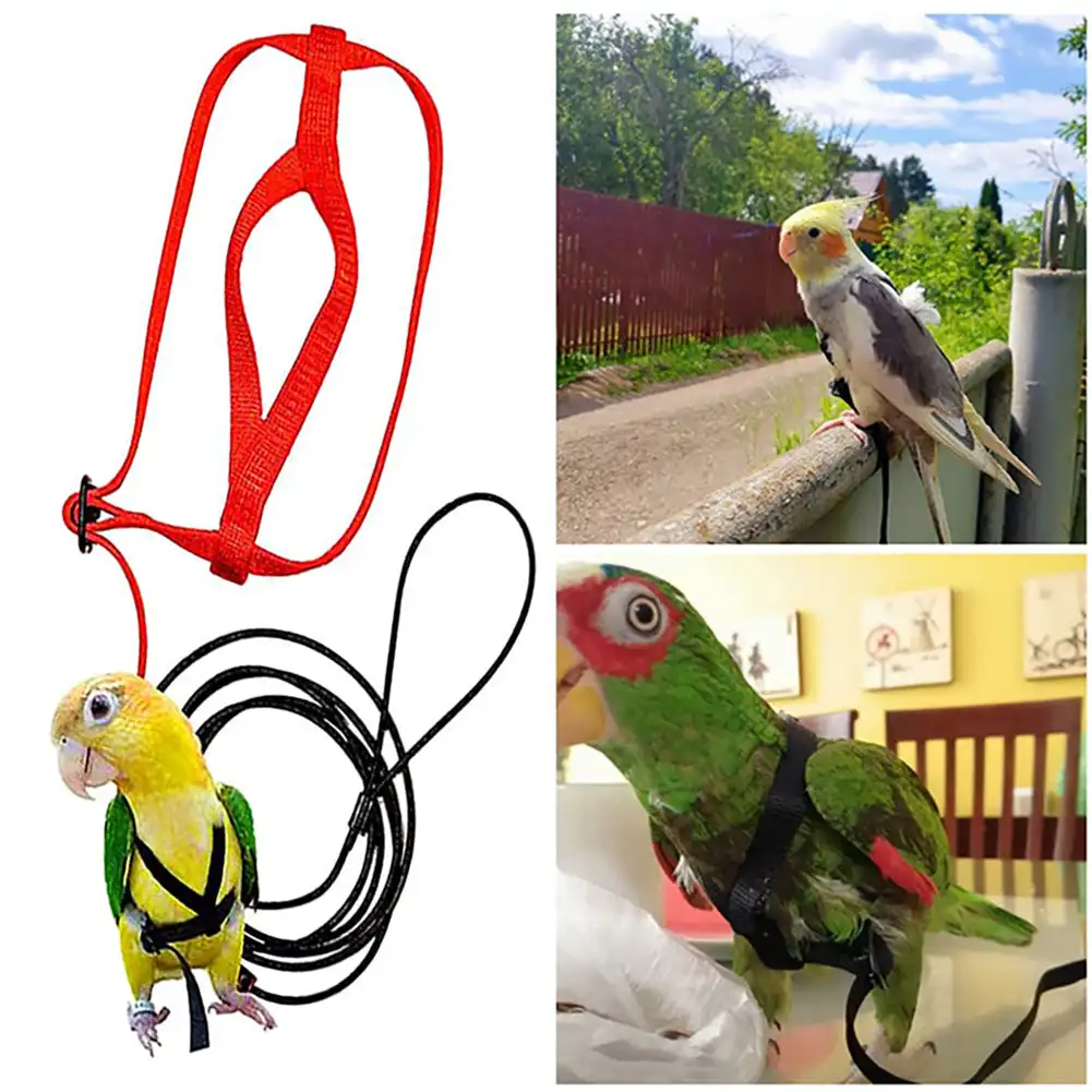 

Adjustable Pet Bird Parrot Harness Leash Outdoor Flying Traction Straps Band Anti-Bite Training Rope
