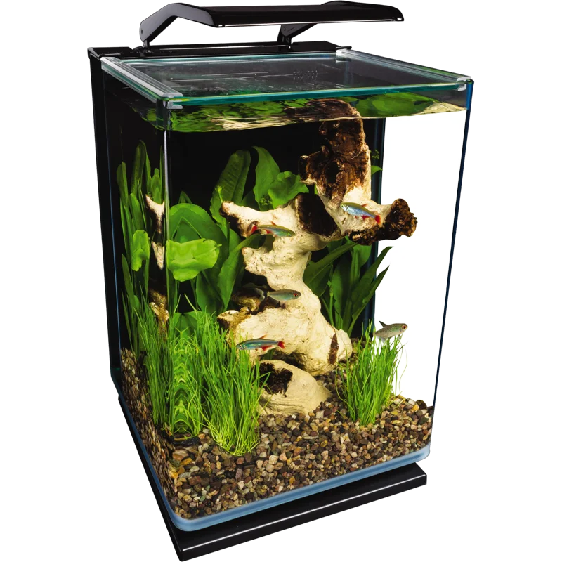 

Portrait Glass LED Aquarium Kit, 5 Gallons, Hidden Filtration