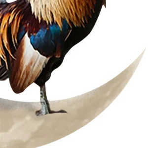 

NewRooster Moon Wall Decor Metal Wall Hanging Sign Unique Rooster Moon Wall Sign Durable Wall Arts Pendant for Outdoor Indoor