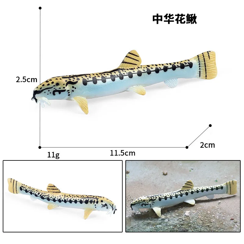 

Имитация морского животного, твердая модель, китайский цветок, лопасти, цветок, лопасти, Детская познавательная пластиковая игрушка, фигурки-орнаменты