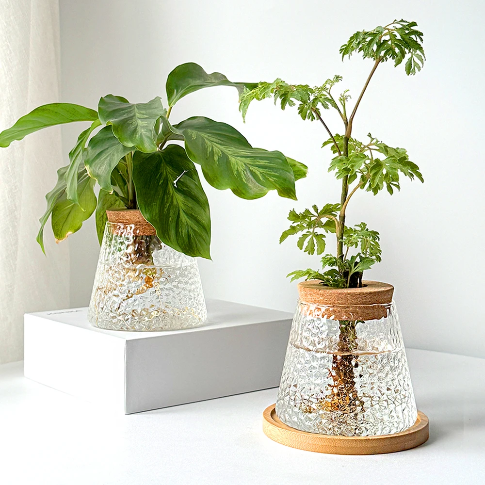 BIYLH гидропонная ваза для растений прозрачное стекло вулканическая бутылка