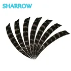 50 шт., набор наконечников для стрел, 5 дюймов