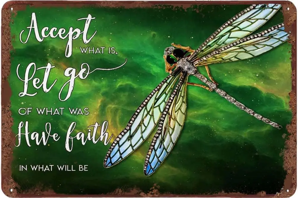Drgonfly ccept Wht SS Funny Tn Sgns Vntge Metl Sgn Broom Wll Decor 8 12 nch