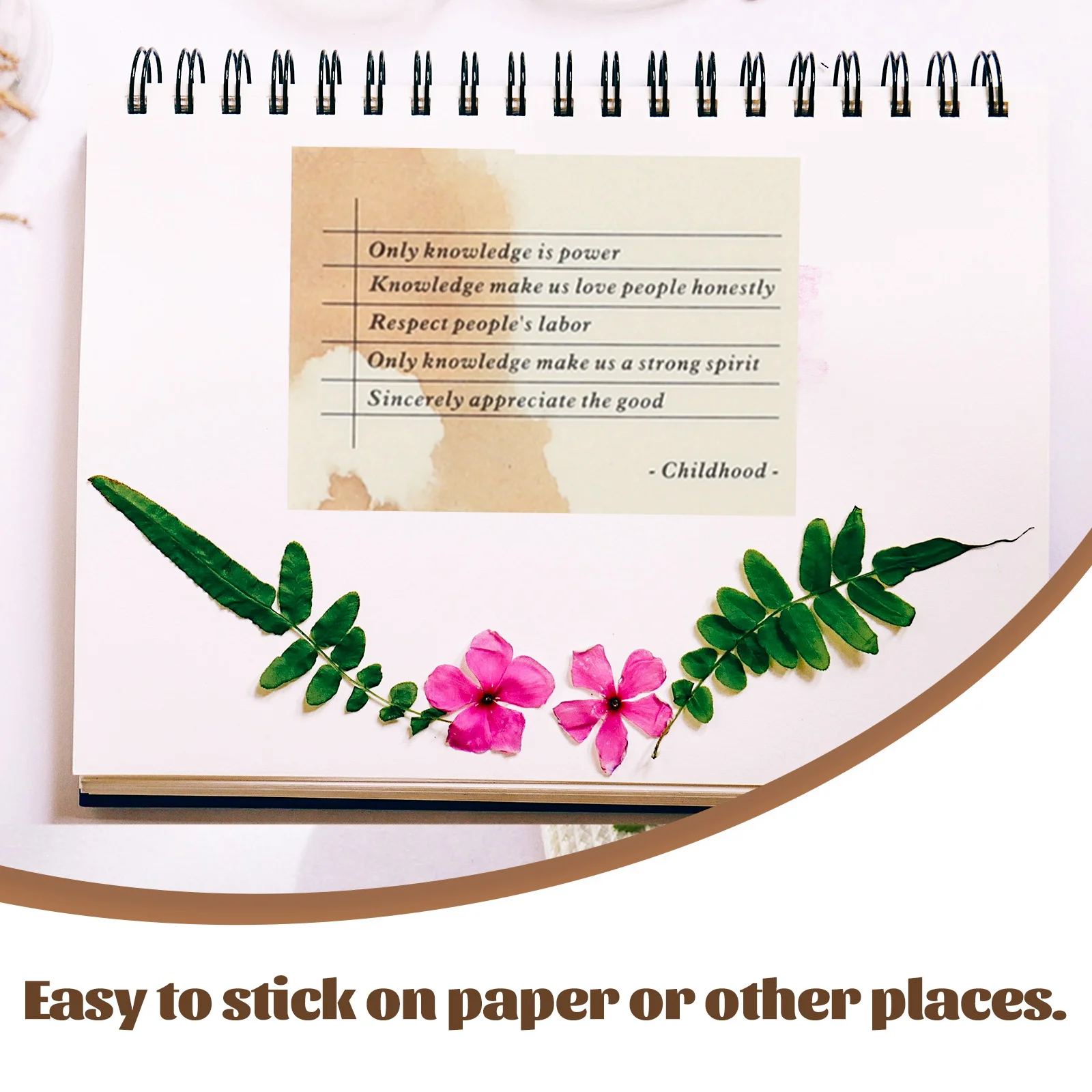 Рисунок 6 - Винтажные Карманные наклейки с фразой