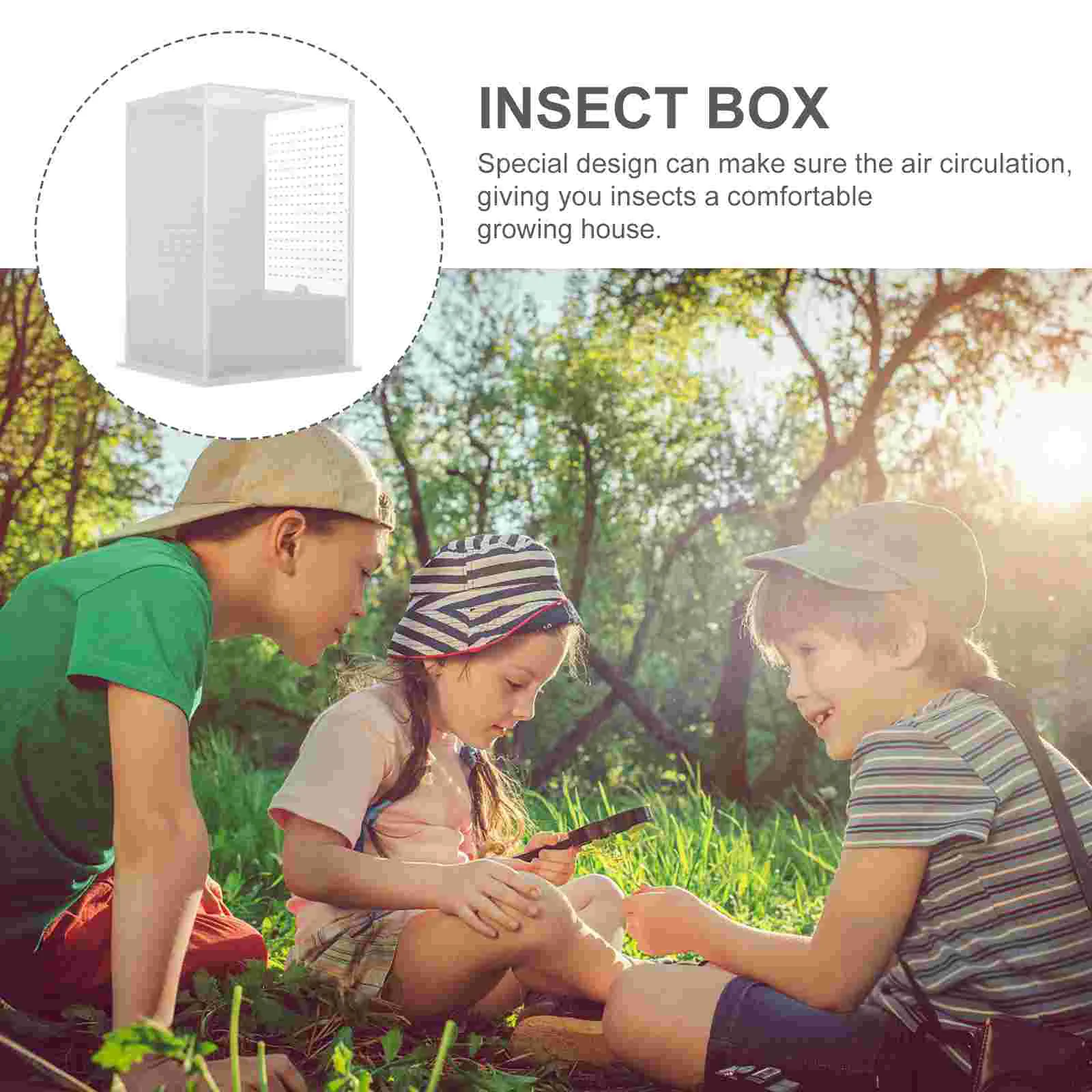 Box Container Insect Reptile Breeding Observation Feeding Enclosure ...