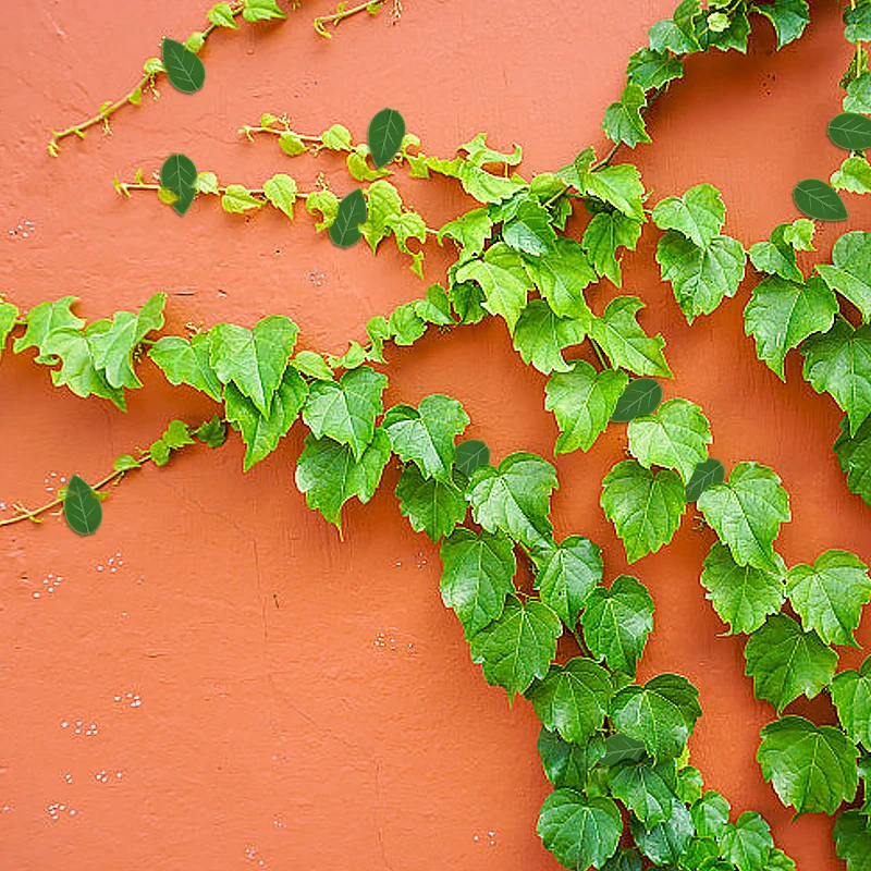 10 шт. настенный светильник для скалолазания кронштейн из ротанговой лозы