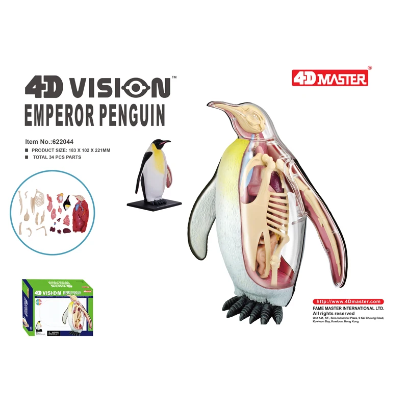 

4D Master, 4D Vision, император, пингвин, животное, модель, лабораторное обучающее оборудование, DIY орган, анатомия Gifts