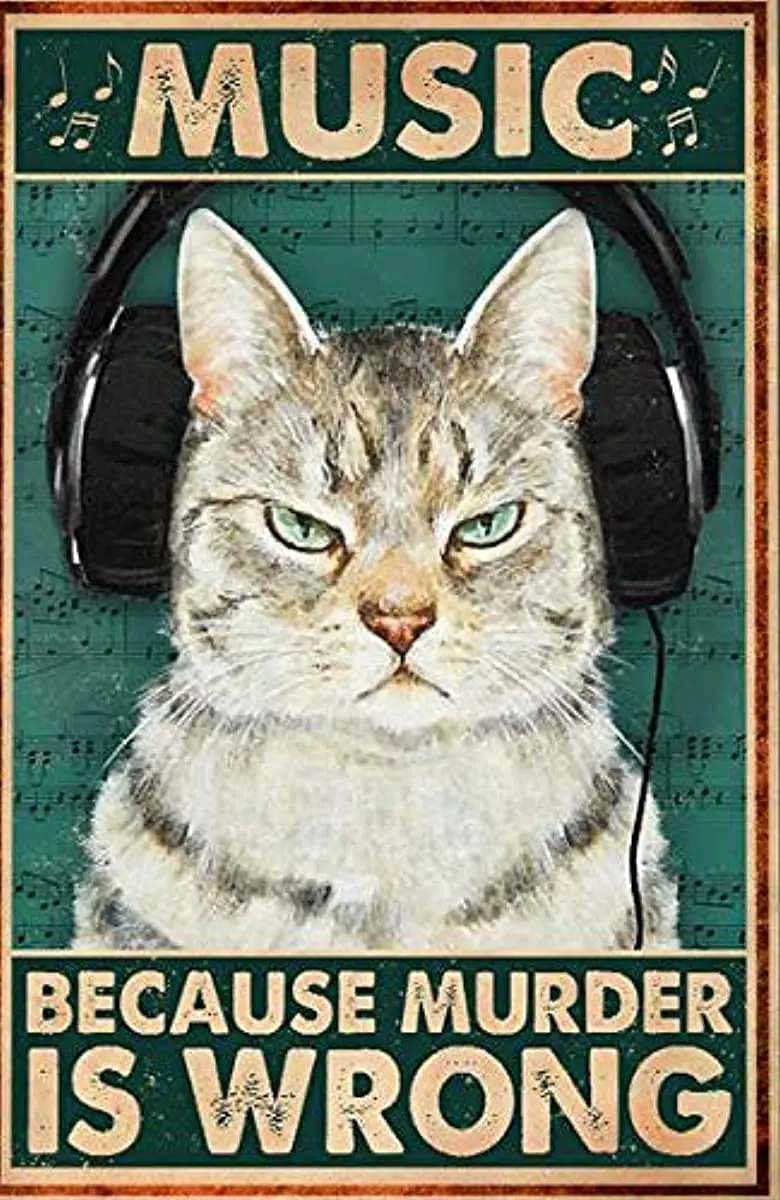 

Eeypy Vintage Retro Music Because Murder is Wrong Funny Kitchen Quote Metal Tin Sign Wall Decor 8x12 Inch