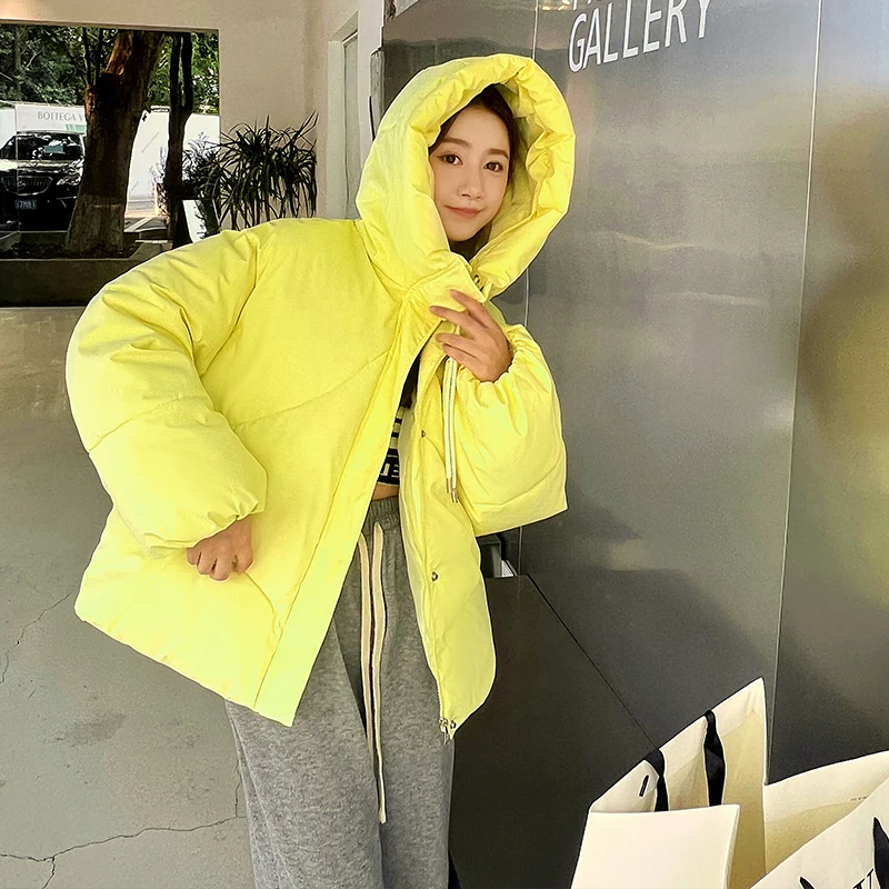 Winter new women's jacket warm hooded parka women's winter outer wear thickened coat ladies puffer jacket with zipper jacket