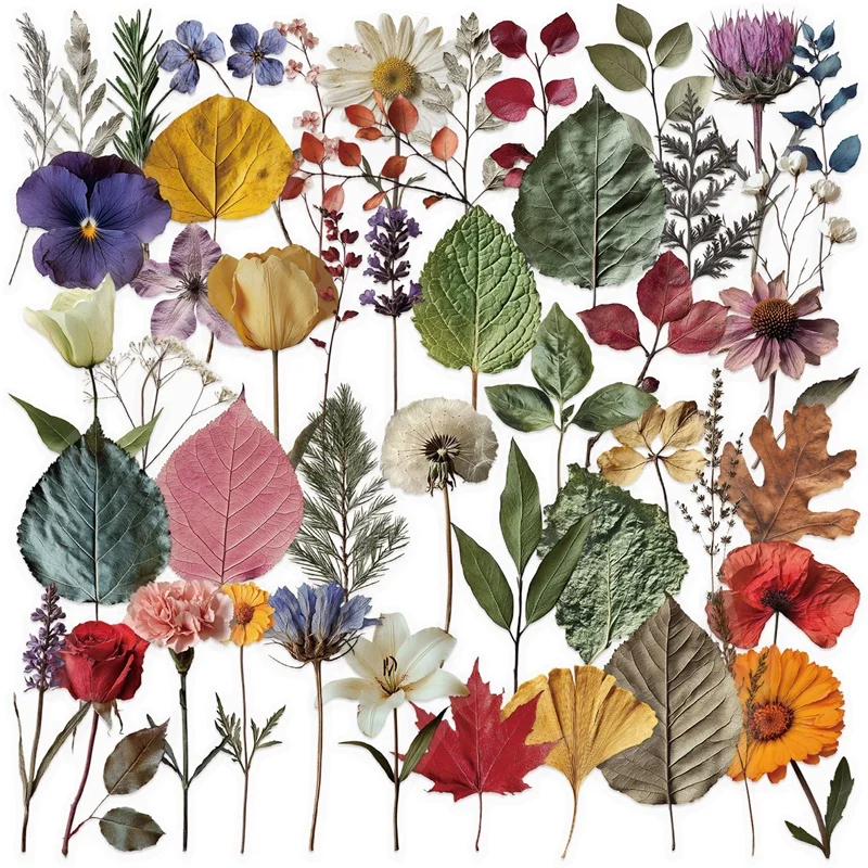 50 шт., кавайные цветные наклейки для домашних животных, эстетические прозрачные украшения «сделай сам», принадлежности для скрапбукинга, альбом для рисования для детей