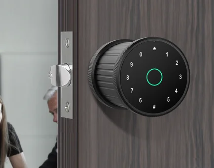 

Блокировка со сканером отпечатков пальцев, умный офисный замок, временный пароль, своевременный пароль, для граффити, APP barrel lock