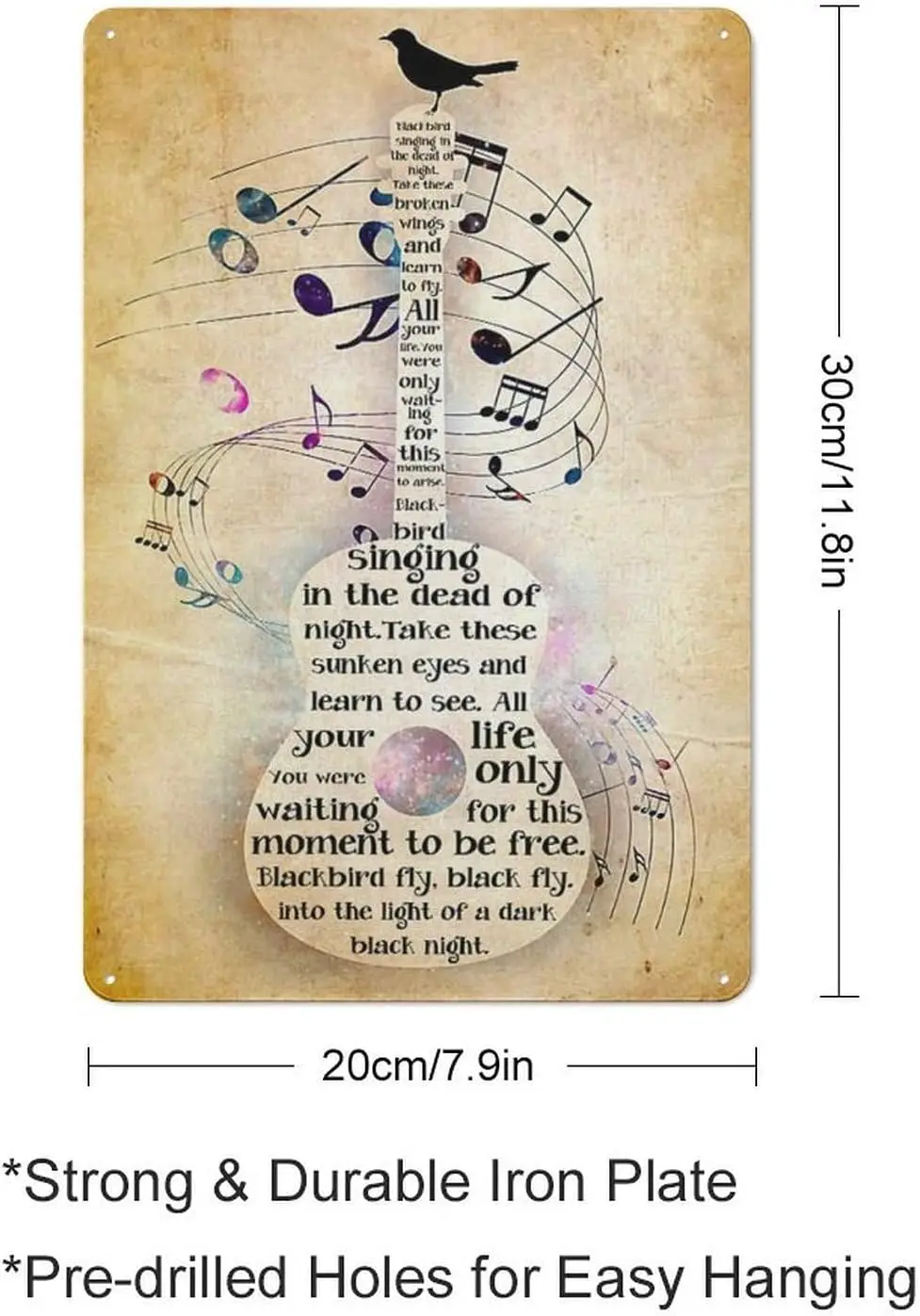 Металлический жестяной знак в рустикальном стиле гитара и птица любитель музыки