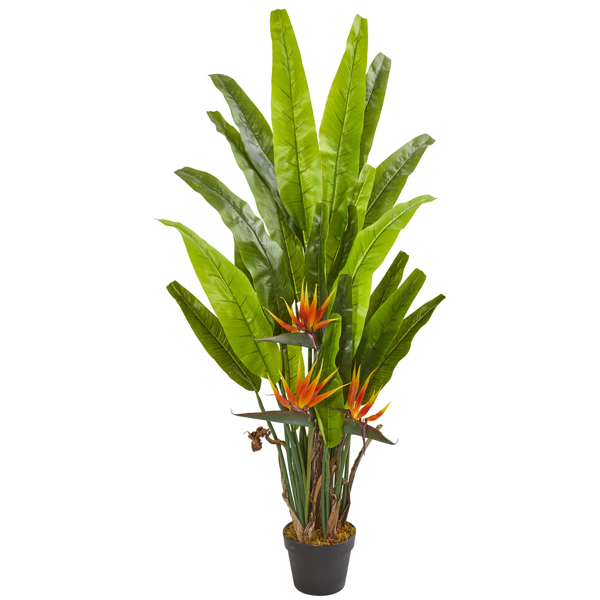 

4.5' Plastic and Polyester Bird of Artificial Plant, Green
