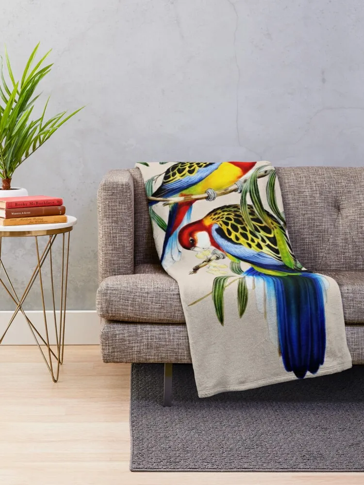 Восточная розелла (Platycertus Eximius) Джона Гуллла пледы декоративные кровати диван