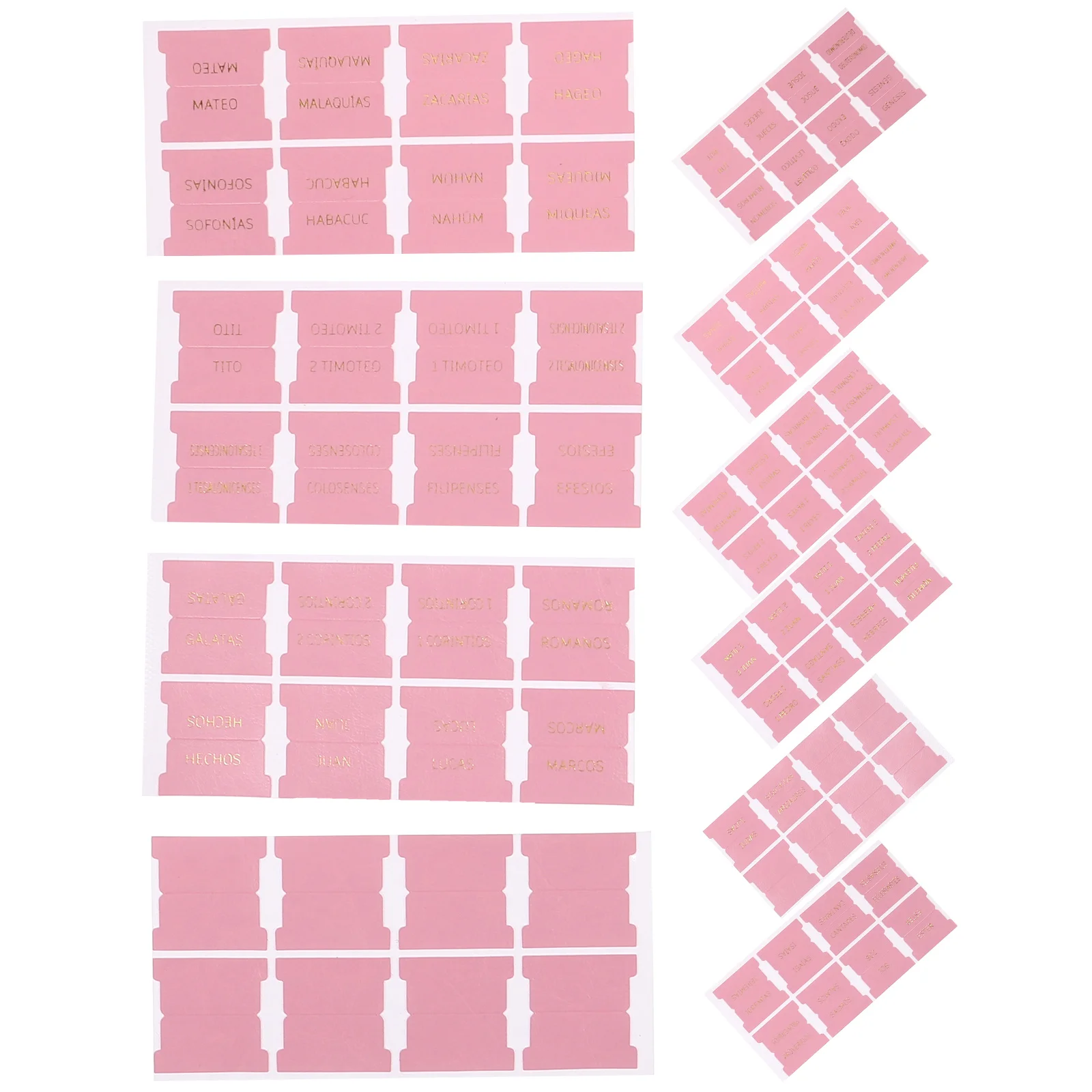 

Bookmarks Bible Tabs Blank Boys Stickers Index Pu Markers Page Divide Tags Student Study