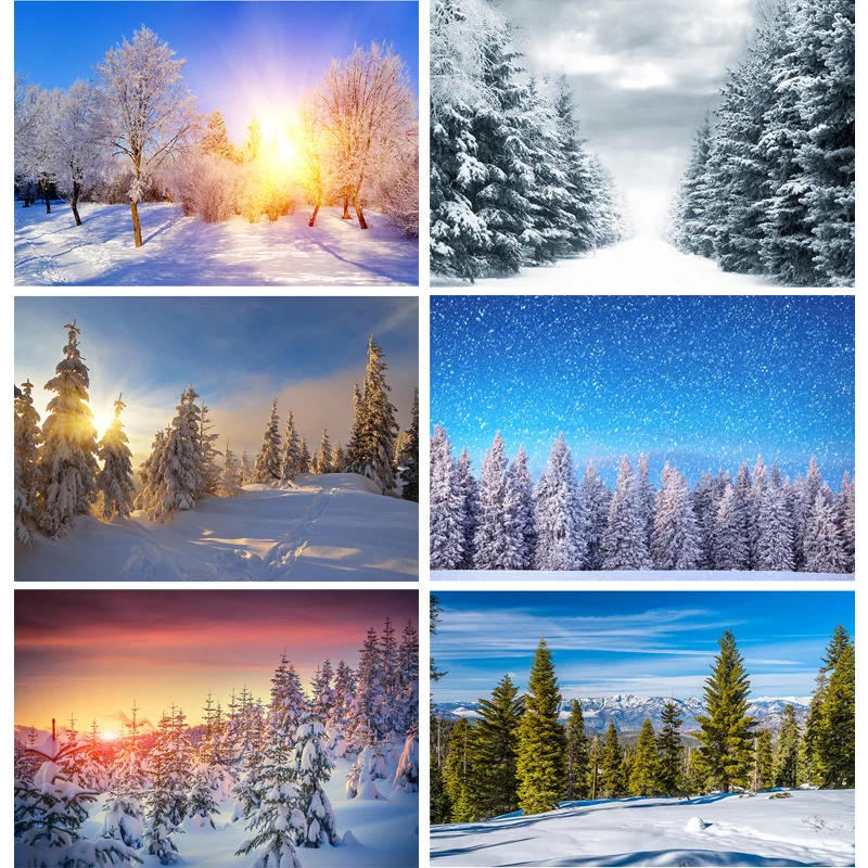 

Зимний природный пейзаж фотография Фон лес Снежный пейзаж Путешествия Фото фоны студия Props 211121 DJXJ-02