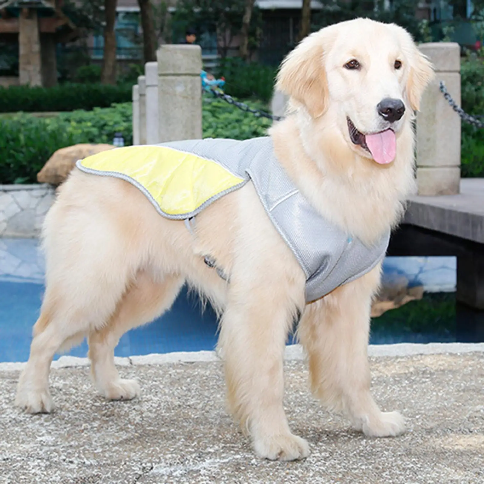 

Охлаждающий Жилет для собак, охлаждающая куртка для домашних питомцев, регулируемый Испарительный Прохладный жилет для пляжа, летних трени...