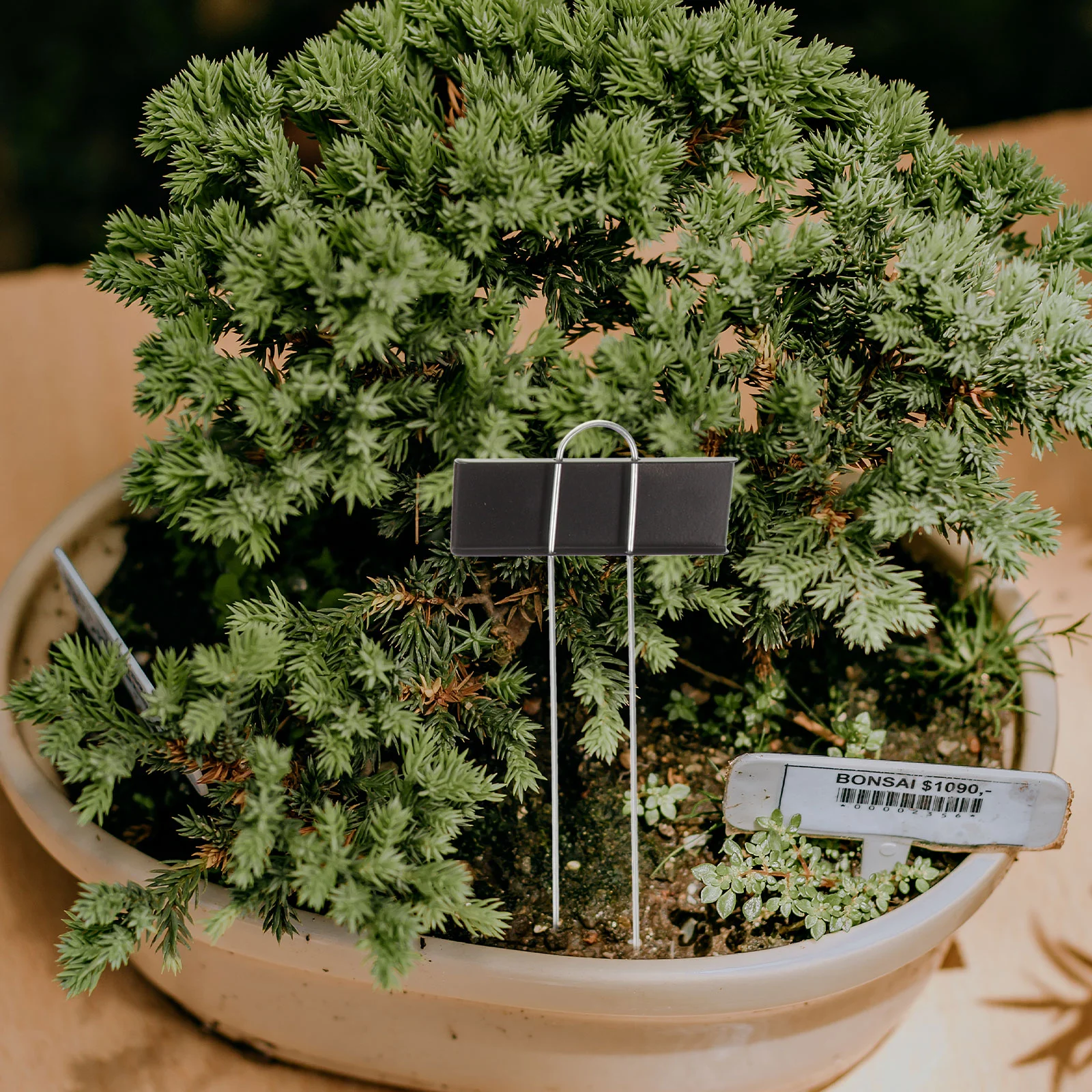 12 шт. металлические бирки для растений категория садовые маркеры именные