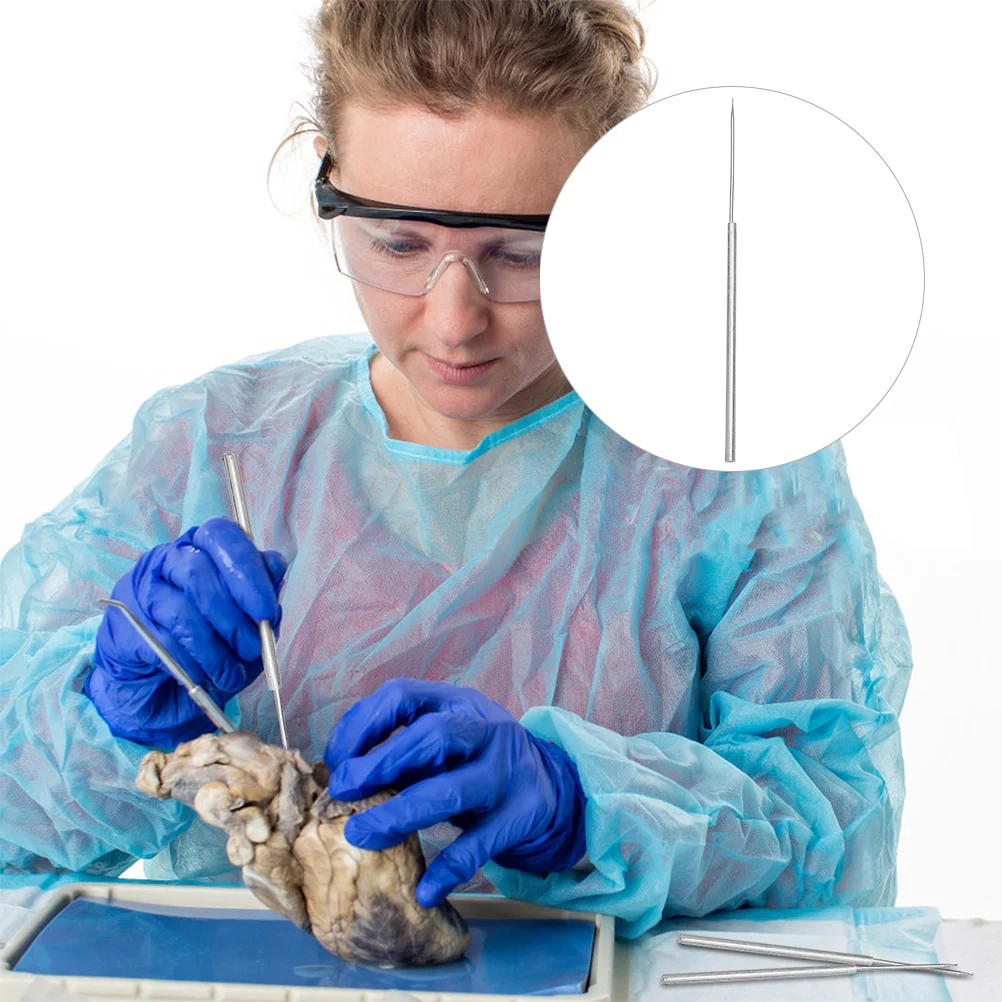 

Needle Dissecting Dissection Metal Biological Anatomy Tools Tool Anatomical Sample Fine Surgery Ended Single Accessory Learning