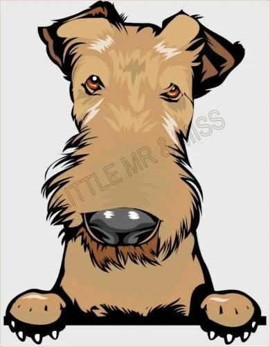 

For AIREDALE Peeking Dog Breed Colour Window Wall Sticker waterproof