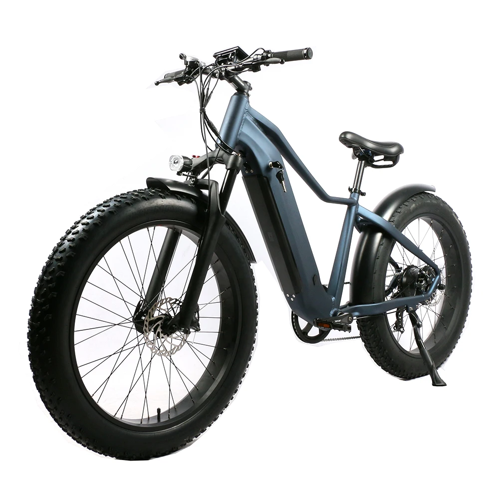 Fat Bike Aluminum Alloy Frame 1000w Motor Bicycle Electric B